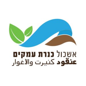 כנרת אשכול עמקים